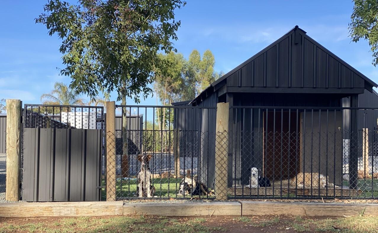 Melissa from Mildura, VIC loves COLORBOND® steel. Guttering & Fascia, Walling, Fencing made from COLORBOND® steel in colours Monument® and Monument® Matt