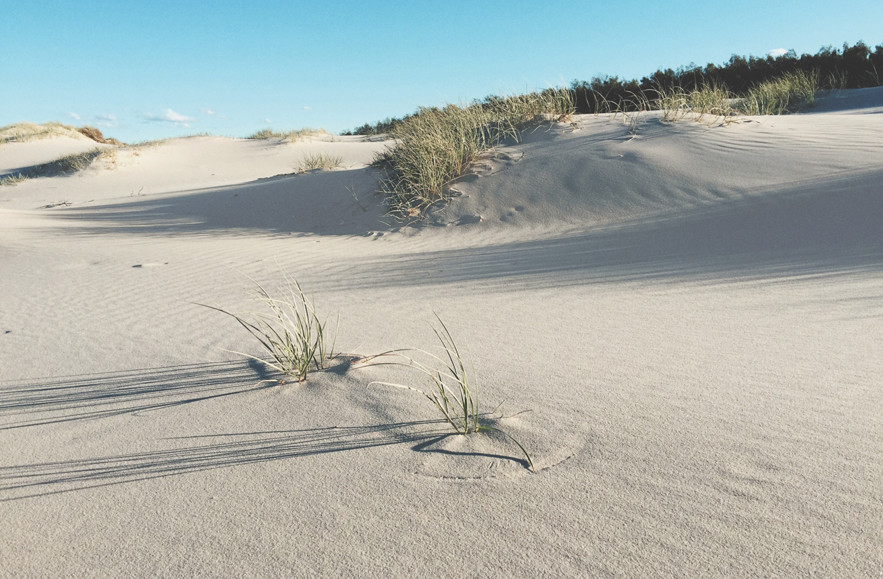 Sand dunes and native grasses. COLORBOND® steel Dune® in a Matt finish