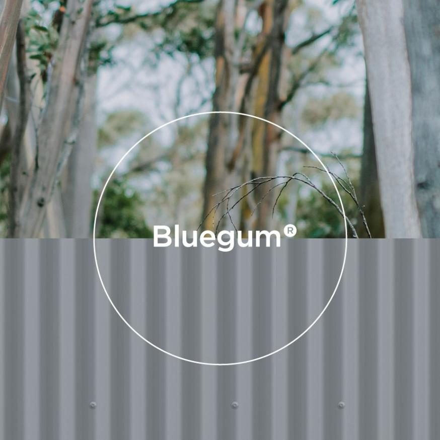 Bluegum standing seam profile and bushland