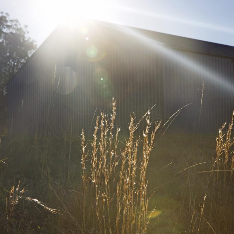 Shed  made from COLORBOND® steel