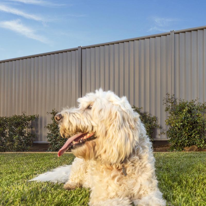 Fencing  made from COLORBOND® steel in colour Basalt®