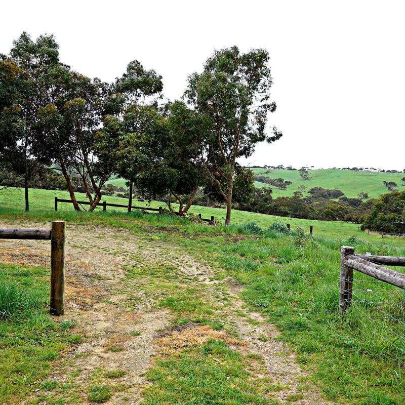 COLORBOND® steel. Tree Change. Flatlay board inspiration. Country Road/Lane in Australia