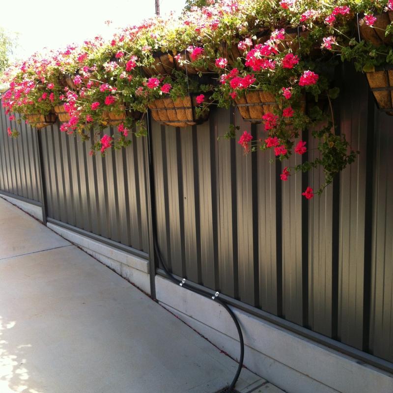 Glenys from St Marys, SA loves COLORBOND® steel. Fencing made from COLORBOND® steel in colour Dune®