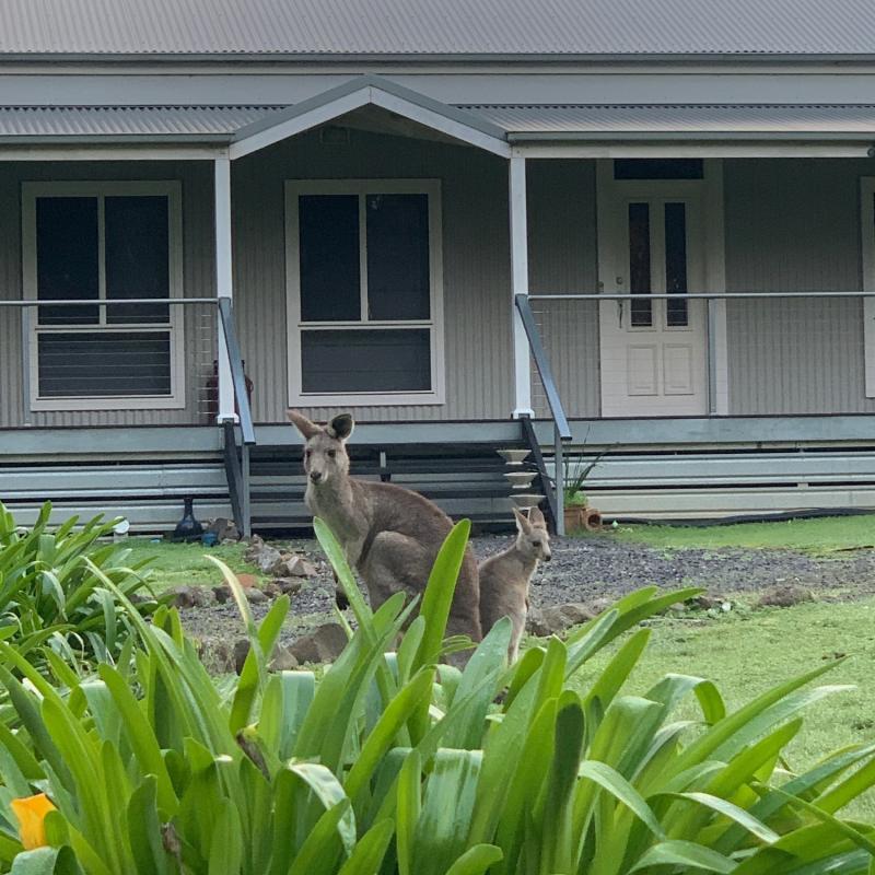 Debbie from Seymour, VIC loves COLORBOND® steel. Roofing, Guttering & Fascia, Garage Doors, Walling, Sheds, Patio & Pergola made from COLORBOND® steel in colours Woodland Grey®, Shale Grey® and Windspray®