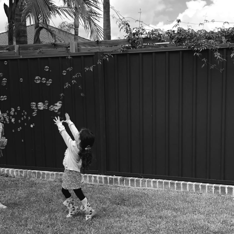 Halide from Roselands, NSW loves COLORBOND® steel.  Fencing made from COLORBOND® steel in colour Monument®