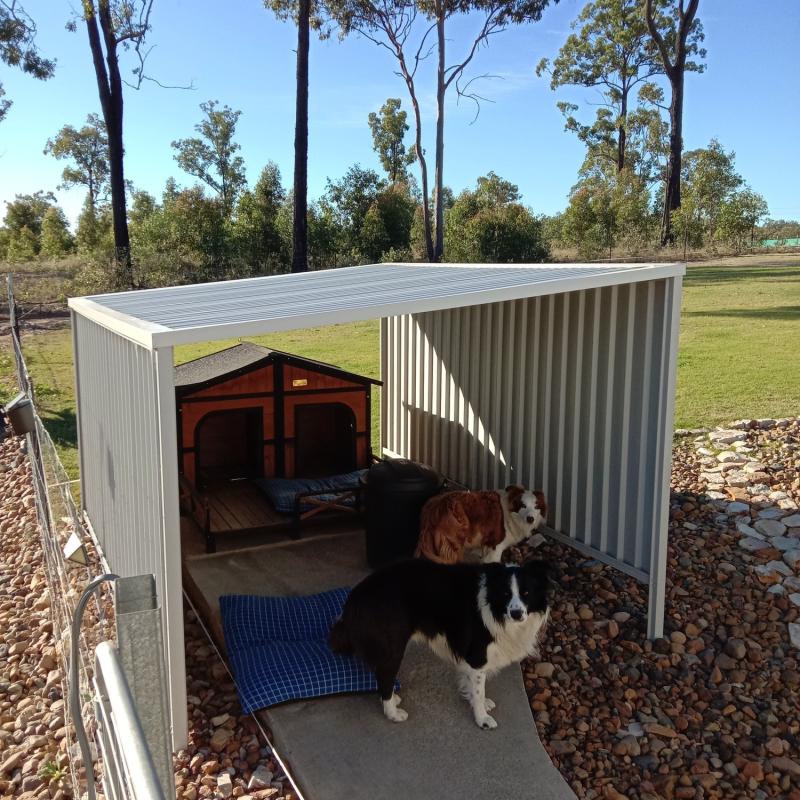 Yian from New Beith, QLD loves COLORBOND® steel. Dog house  kennel Roofing, Walling made from COLORBOND® steel in colour Surfmist®