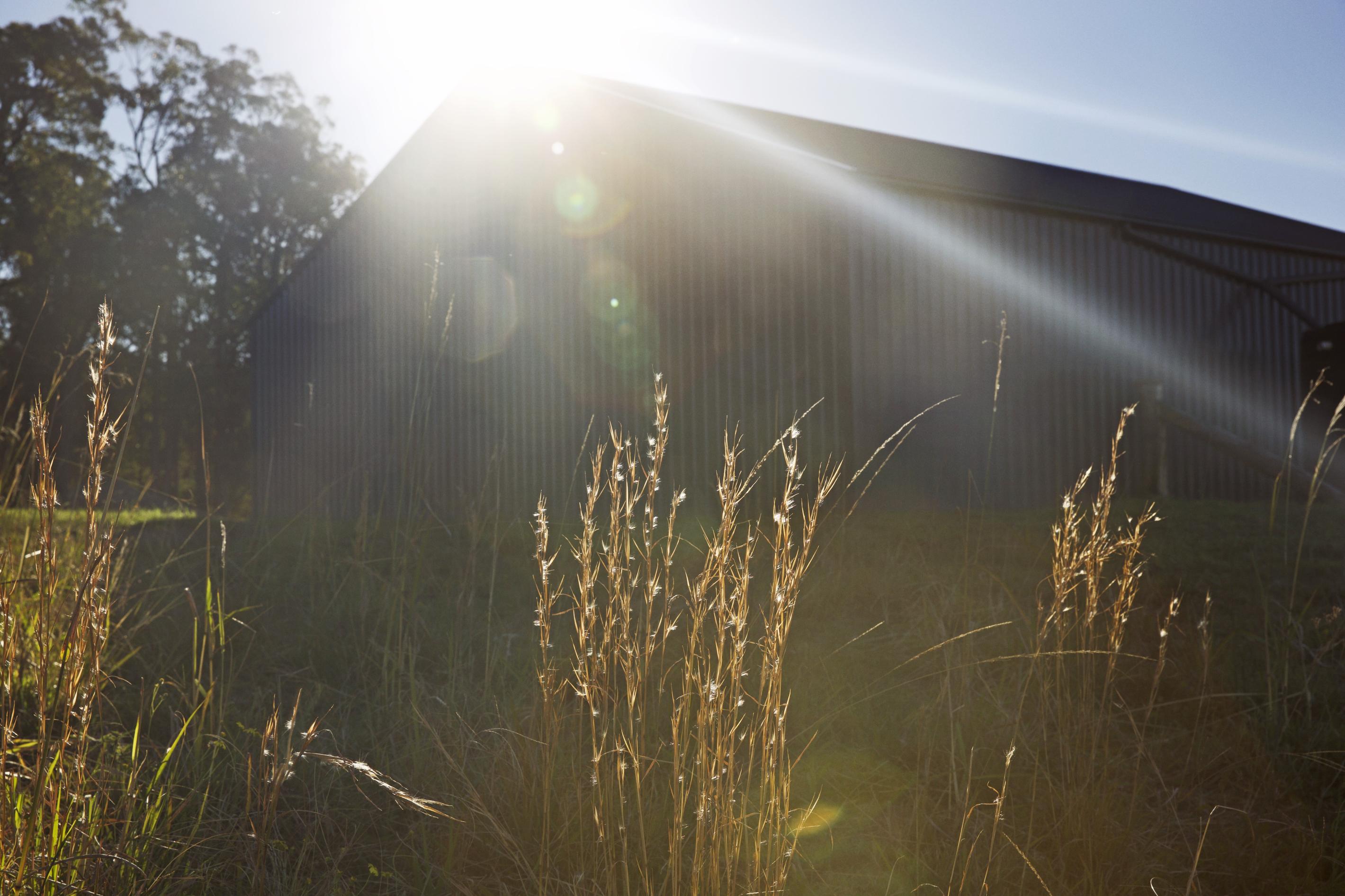 Shed  made from COLORBOND® steel