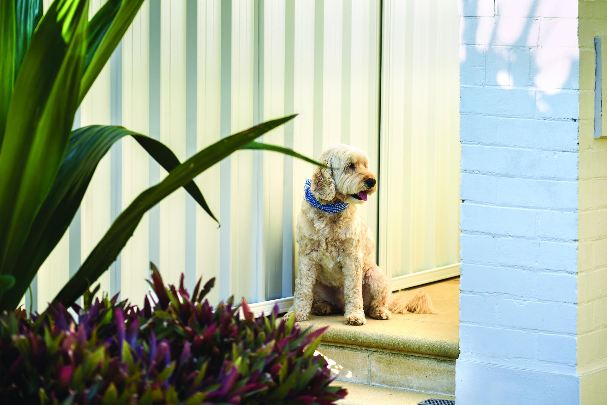 Fencing  made from COLORBOND® steel