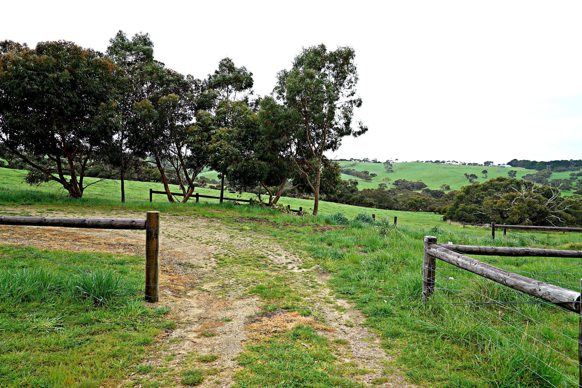 COLORBOND® steel. Tree Change. Flatlay board inspiration. Country Road/Lane in Australia