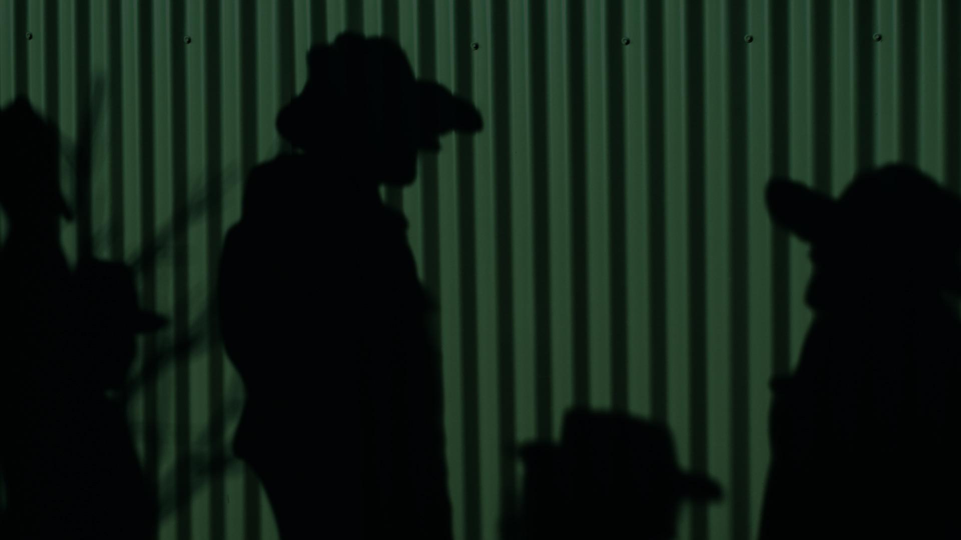 Farm shed in Clarence Valley, NSW with COLORBOND® steel in Cottage Green® in a classic finish. 