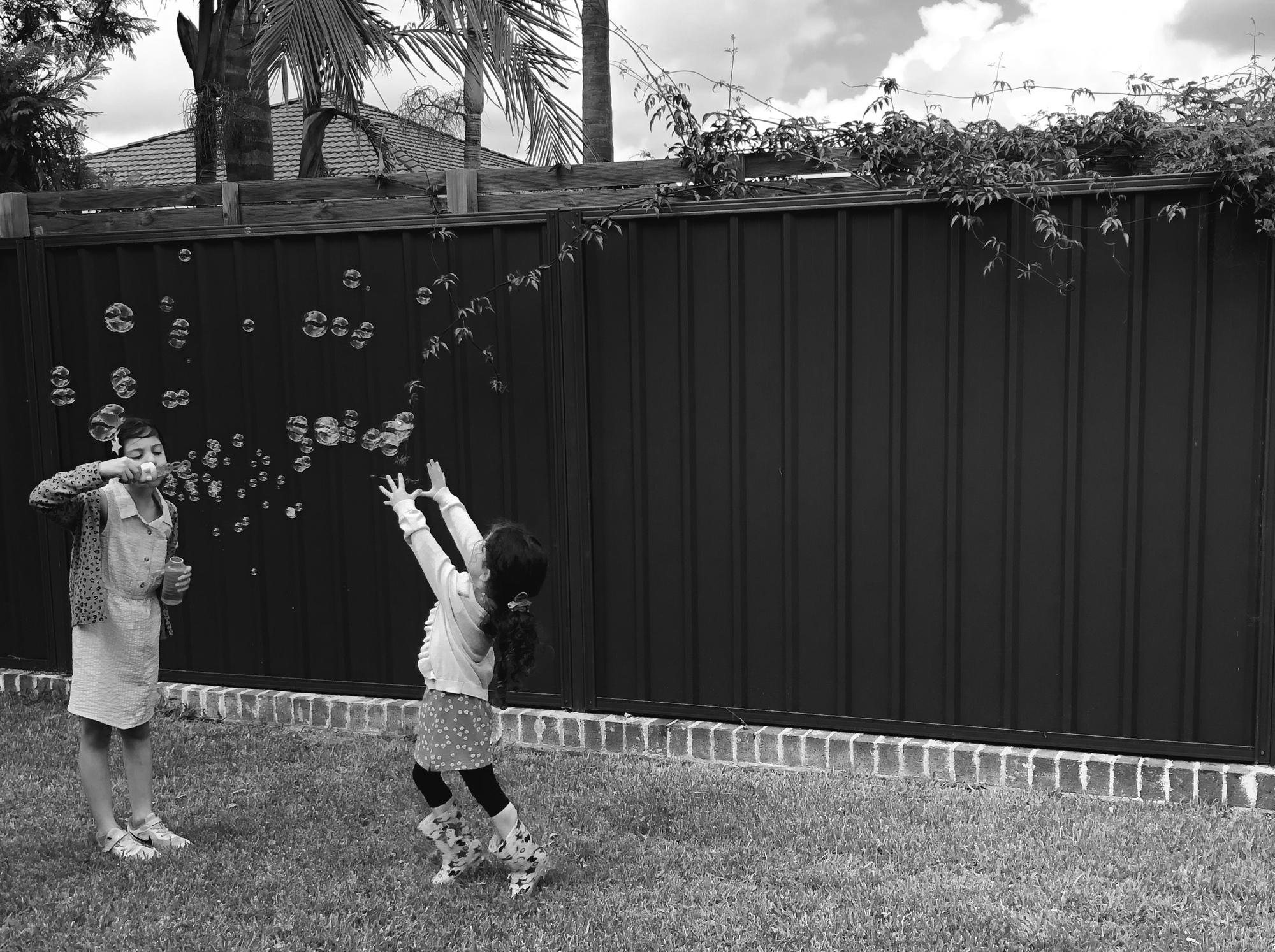 Halide from Roselands, NSW loves COLORBOND® steel.  Fencing made from COLORBOND® steel in colour Monument®