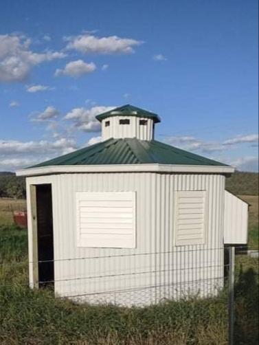 Paivi from Bocobra, NSW loves COLORBOND® steel. Chicken coop cladding made from COLORBOND® steel in colour Cottage Green® and Surfmist® Matt.